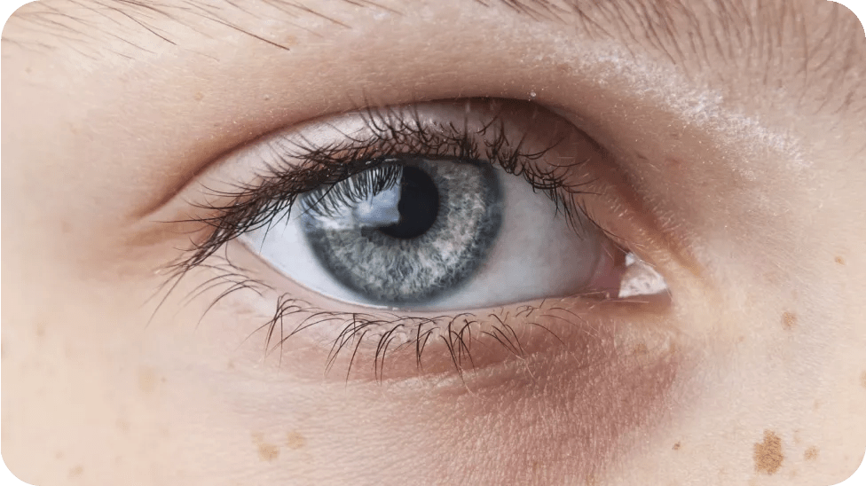 A light blue eye close up