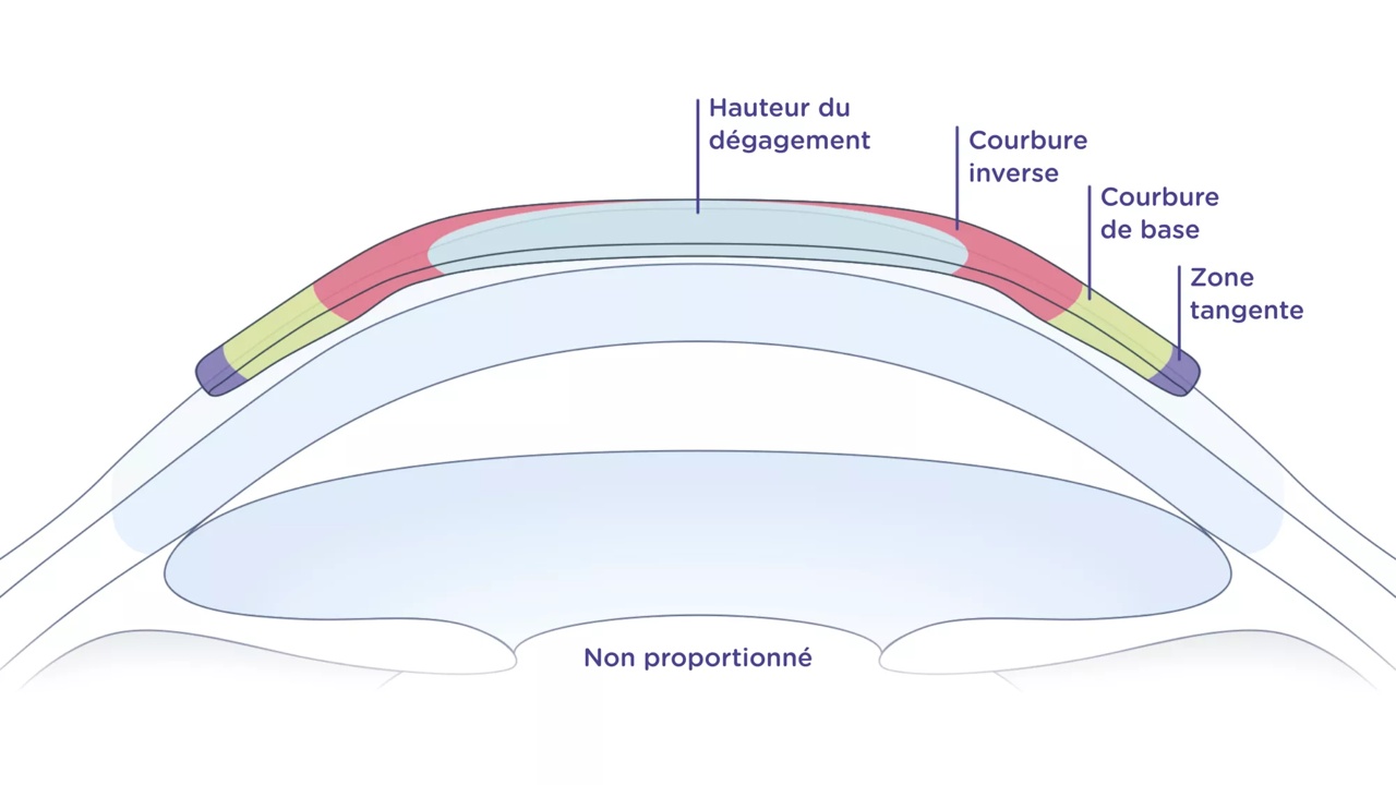 Diagramme décrivant les courbes du cristallin sur l'œil