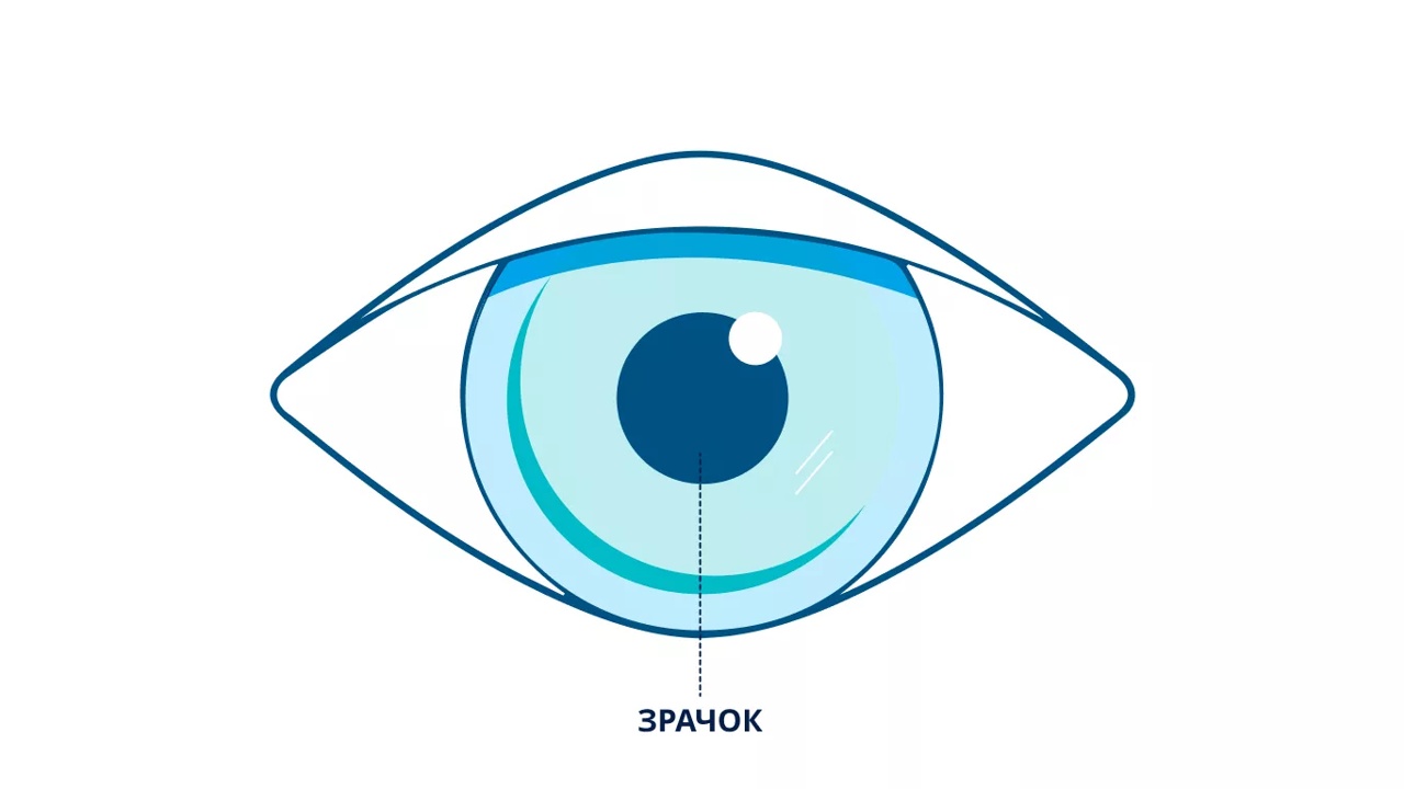Иллюстрация любого глаза, выделяющая хрусталик