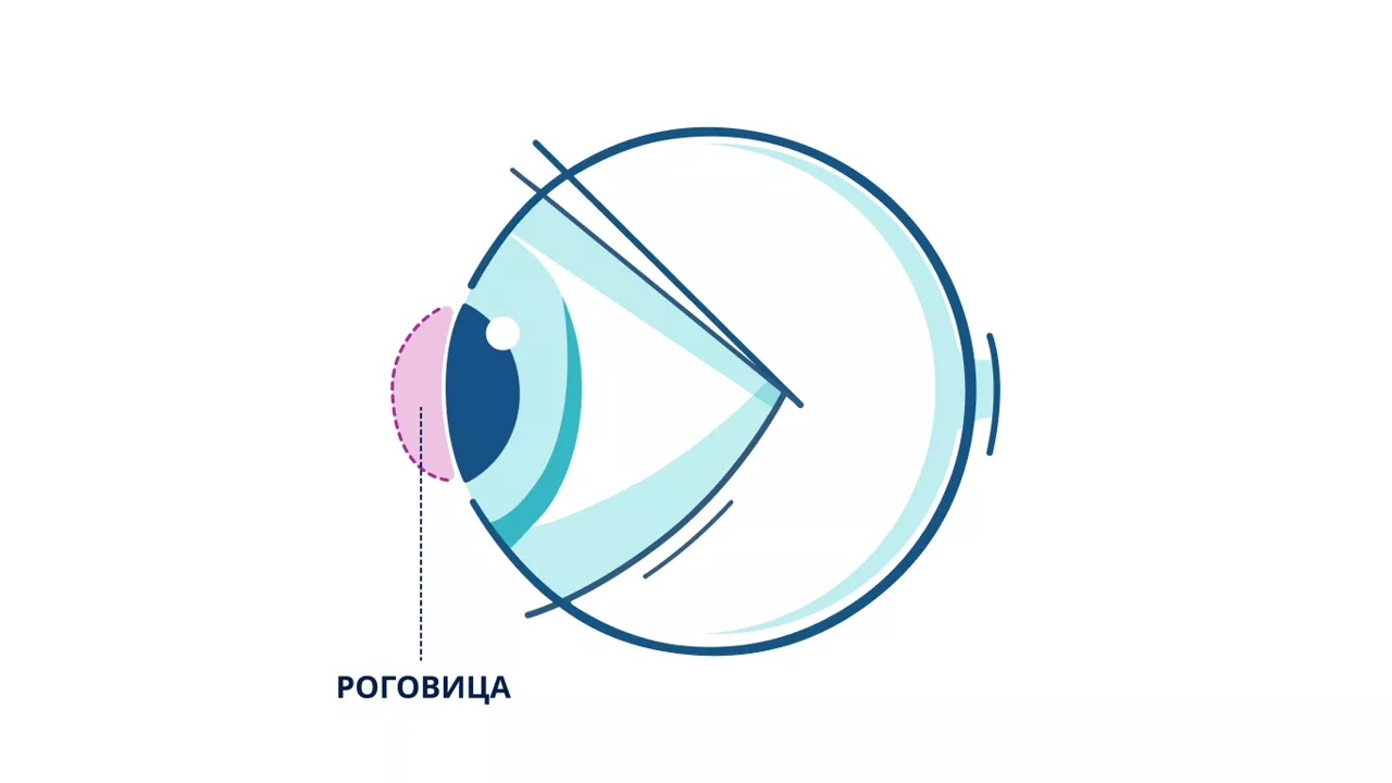 Иллюстрация любого глаза, выделяющая роговицу