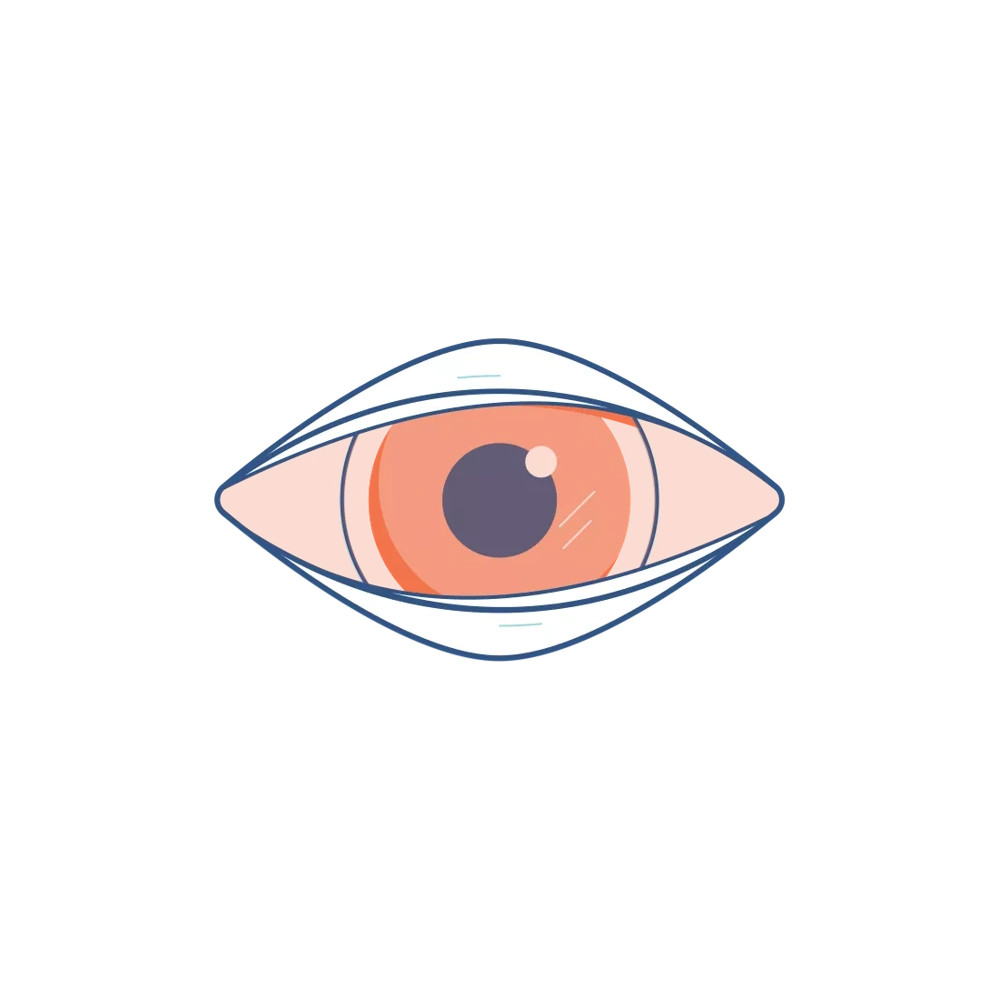 conjunctivitis icon